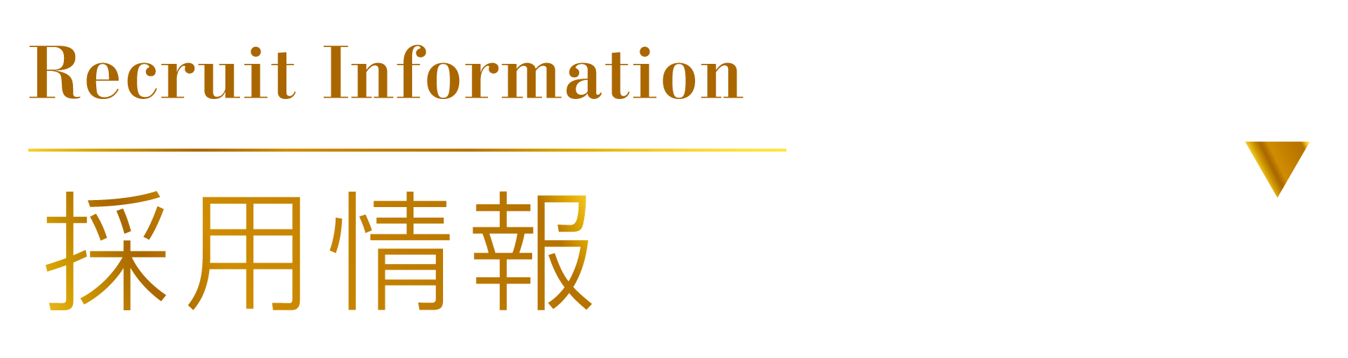 1731386851799955.png company-recruit-1.png